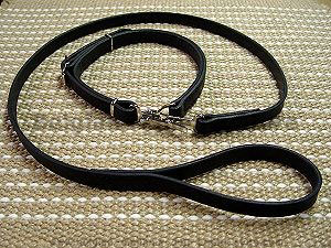 Police / hunting dog leash and collar (combo) for belgian malinois