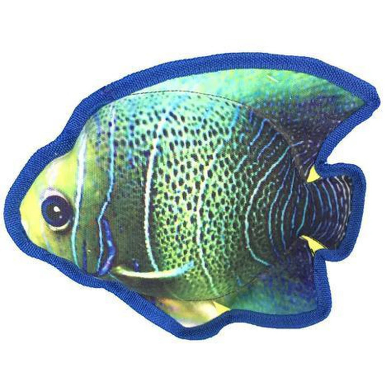 9" Tropical Angelfish - Click Image to Close