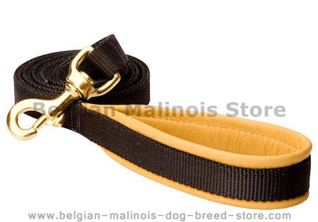 Padded Handle Dog Lead (Leash) for Belgian Malinois