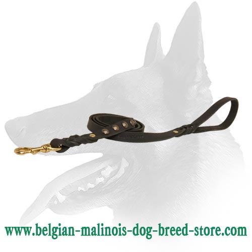 Fancy Malinois Leather Dog Leash
