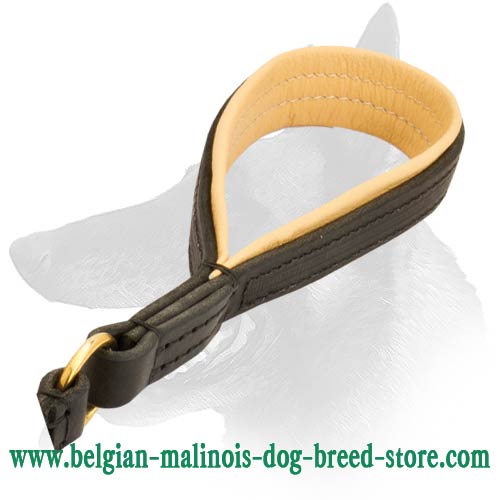 Perfect Malinois Leather Dog Leash