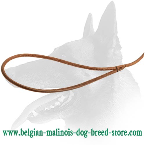 Thin Malinois Leather Leash