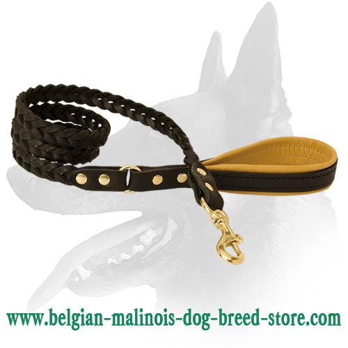 Riveted Belgian Malinois Leather Dog Leash