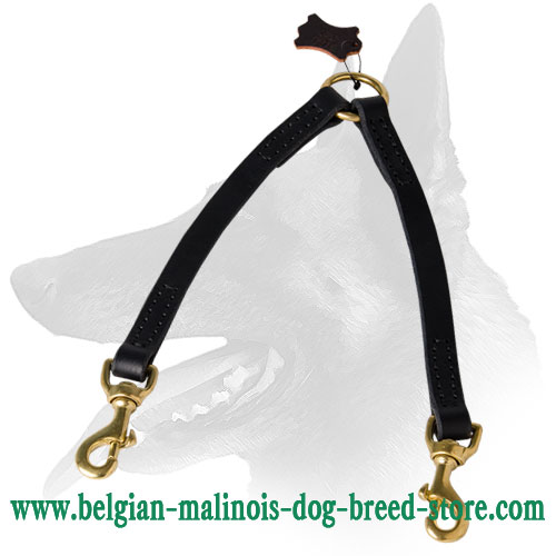 Belgian Malinois Leather Leash With Brass Snap Hooks