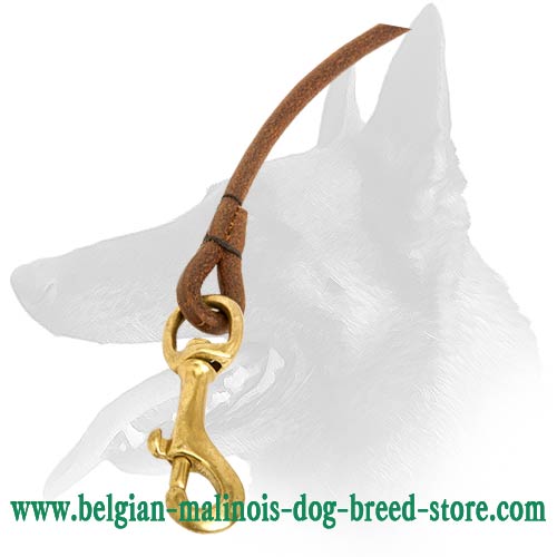 New Malinois Leather Dog Lead