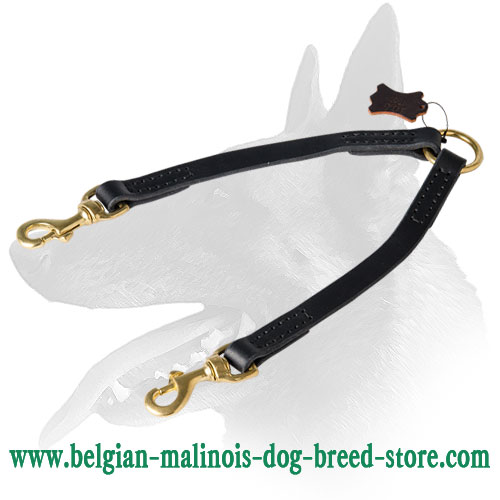 Belgian Malinois Leather Leash With O-Ring
