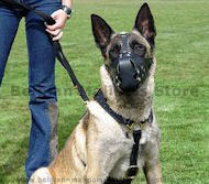 Luxury Handcrafted Leather Harness for Belgian Malinois Luxury Handcrafted Leather Harness for Belgian Malinois
