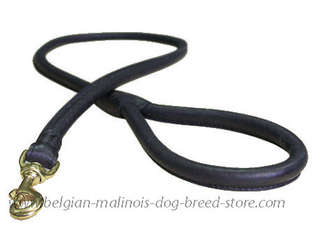 Matching Rolled Leather Dog Lead for Belgian Malinois