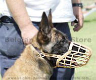 Malinois PLASTIC WIRE MUZZLE DOG MUZZLE Malinois PLASTIC WIRE MUZZLE DOG MUZZLE
