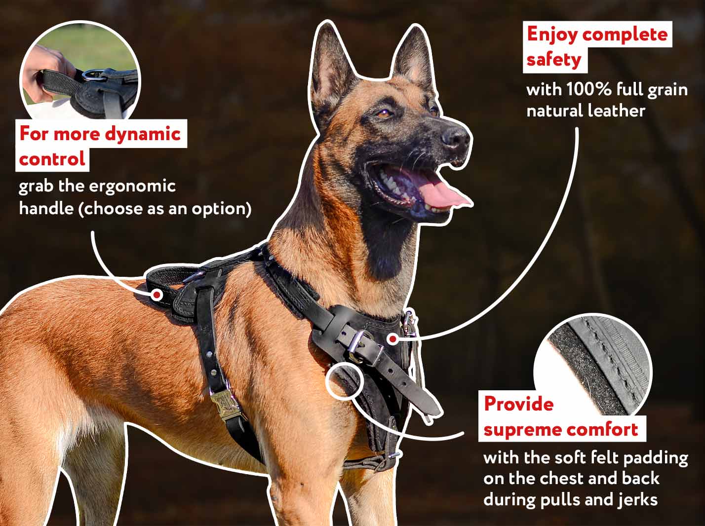 Padded Leather Dog Harness for Agitation Training