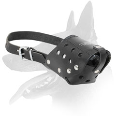 Upper Snout Part Padding