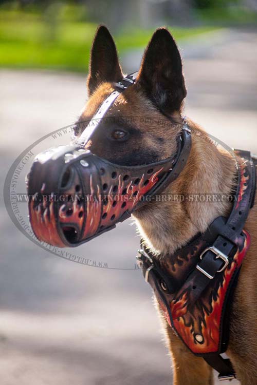 Adjustable Malinois Muzzle