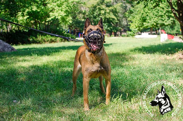 Belgian Malinois wire cage muzzle free breathing with nickel plated hardware for safe walking