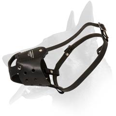Riveted Leather Muzzle