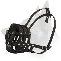 Riveted Leather Muzzle