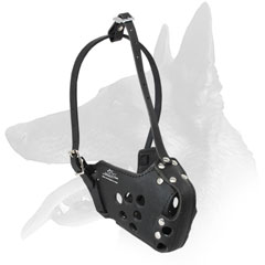 Belgian Malinois Leather Rivetted Muzzle