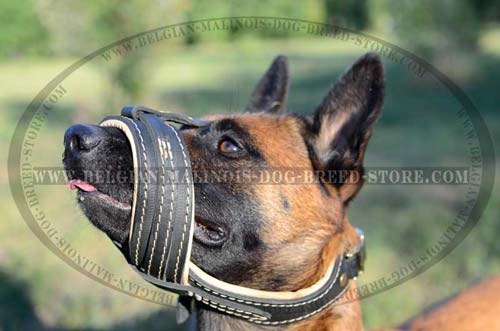 Light weight Malinois Muzzle