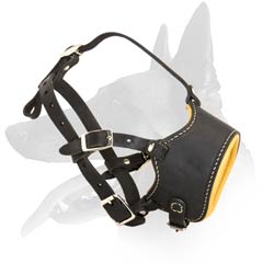 Padded Malinois Muzzle