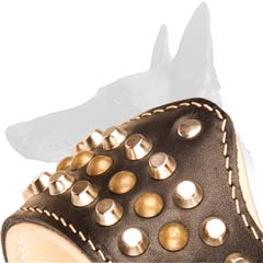 Muzzle with Pyramids and Studs